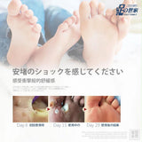 批發價-足の世家 厚繭老蠶足貼24入 (31/10截 預計2月中)