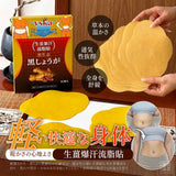批發價-日式 生薑輕盈溫感貼10片/盒 (1組2盒) (20/6截 預計9月底)