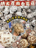 批發價-頂級日本種原木特大厚肉白花菇 600g（約25-35隻）(買1包送1包)2026/7 (29/7截 預計9月下旬)
