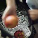 批發價-日本🇯🇵Sou Sou經典數字圖案保冷保溫折疊環保袋系列 (25/11截 預計12月下旬)