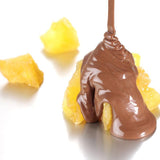 批發價-日本製Magokoro Farm 朱古力青森蘋果乾系列 (7/3截 預計3月尾至4月上旬)