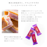 批發價-熊本銀齋庵紫苑5入/10入 (11/3截 預計4月上旬)