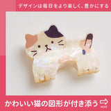 最新🐱日本Hapins貓貓造型鯊魚夾🐱 (11/8截 預計9月中旬)