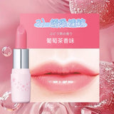 日本sana莎娜素肌紀念日滋潤護唇有色唇膏💄 (26/9截 預計10月下旬)