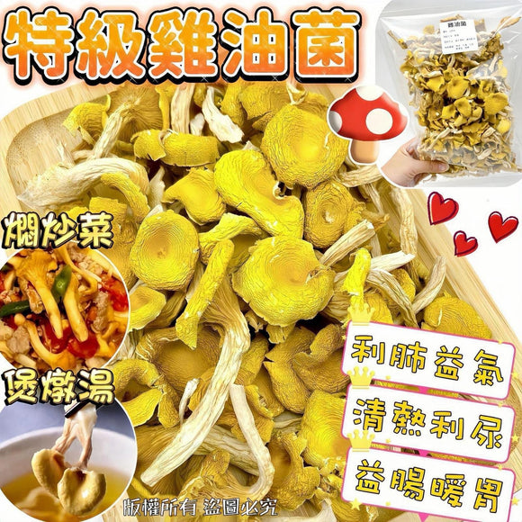 特級雞油菌2025/10 (7/10截 預計12月尾)